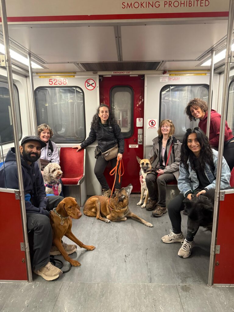 Public Transportation