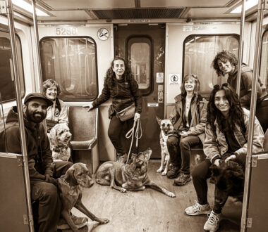 Public Transportation