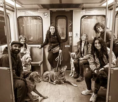 Public Transportation