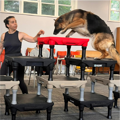 private intensive training woldt