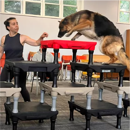 private intensive training woldt