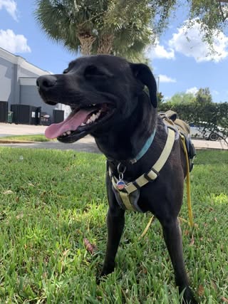 496470318 2469053893468702 916819889867654093 n