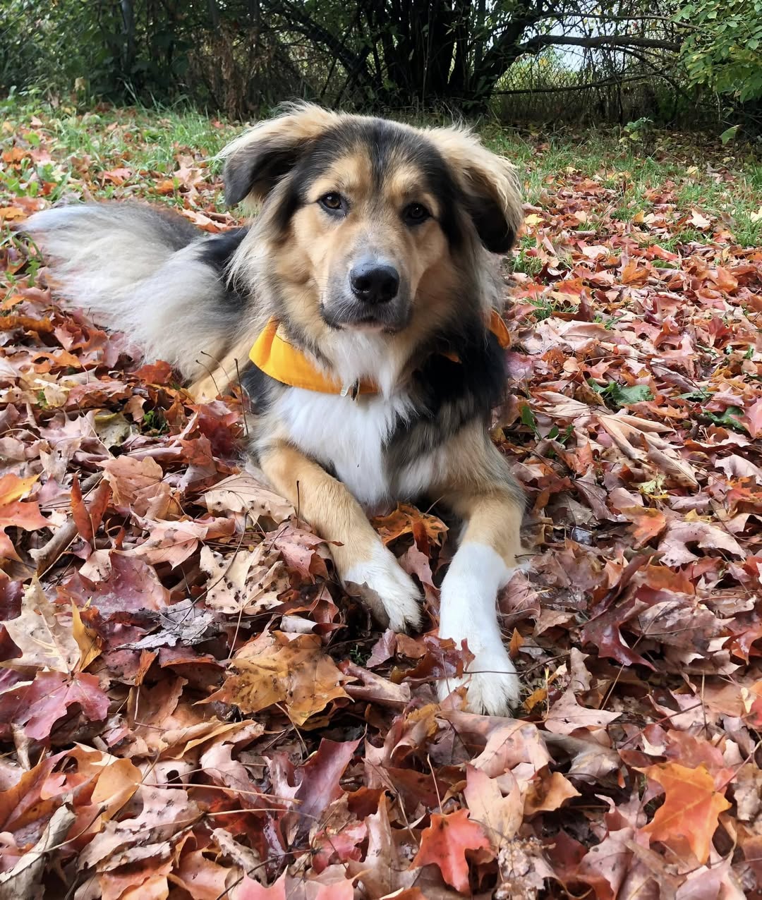 505592463 24223383113953960 1045445949964924380 n